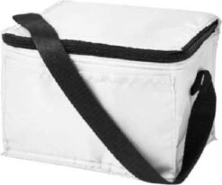 Koeltas - Mini Koeltas - Geschikt Voor 6 Blikjes - Compact Koeltas + 2 Koelelementen - Rheme -Buiten Kamperen Apparatuur 1200x1001