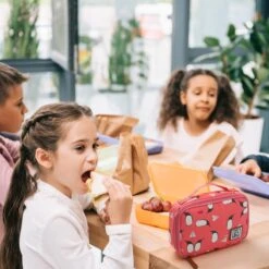 Brisby 4 Laags Geïsoleerde Koeltas - Lunchtas 1.5 Liter - Roze Pinguïn -Buiten Kamperen Apparatuur 1200x1200 1320