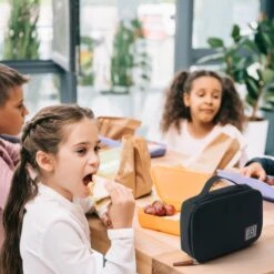 Brisby 4 Laags Geïsoleerde Koeltas - Lunchtas 1.5 Liter - Zwart -Buiten Kamperen Apparatuur 1200x1200 1734