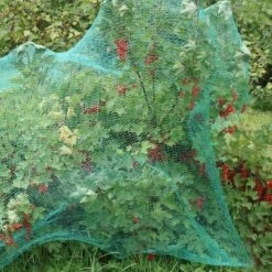 Relaxdays 100x Gronddoekpen - Grondanker - Haring - Gronddoekhaak - Grondhaken - 2mm 12 Relaxdays 100x Gronddoekpen - Grondanker - Haring - Gronddoekhaak - Grondhaken - 2mm -Buiten Kamperen Apparatuur 1200x1200 570