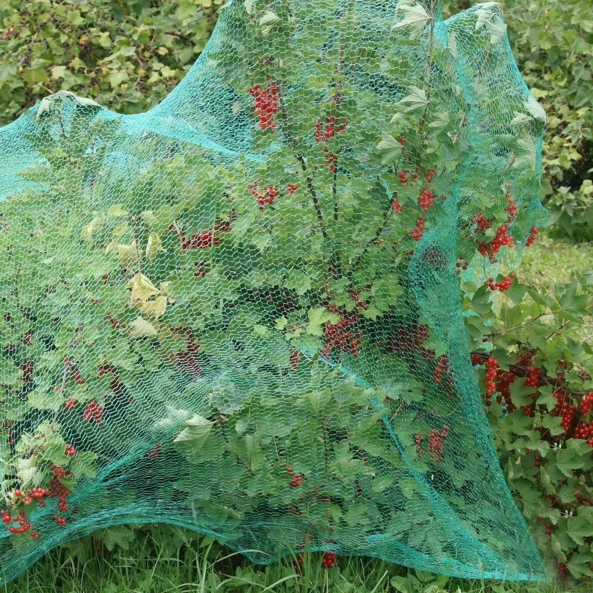 Relaxdays 100x Gronddoekpen - Grondanker - Haring - Gronddoekhaak - Grondhaken - 2mm 5 Relaxdays 100x Gronddoekpen - Grondanker - Haring - Gronddoekhaak - Grondhaken - 2mm - Afbeelding 3