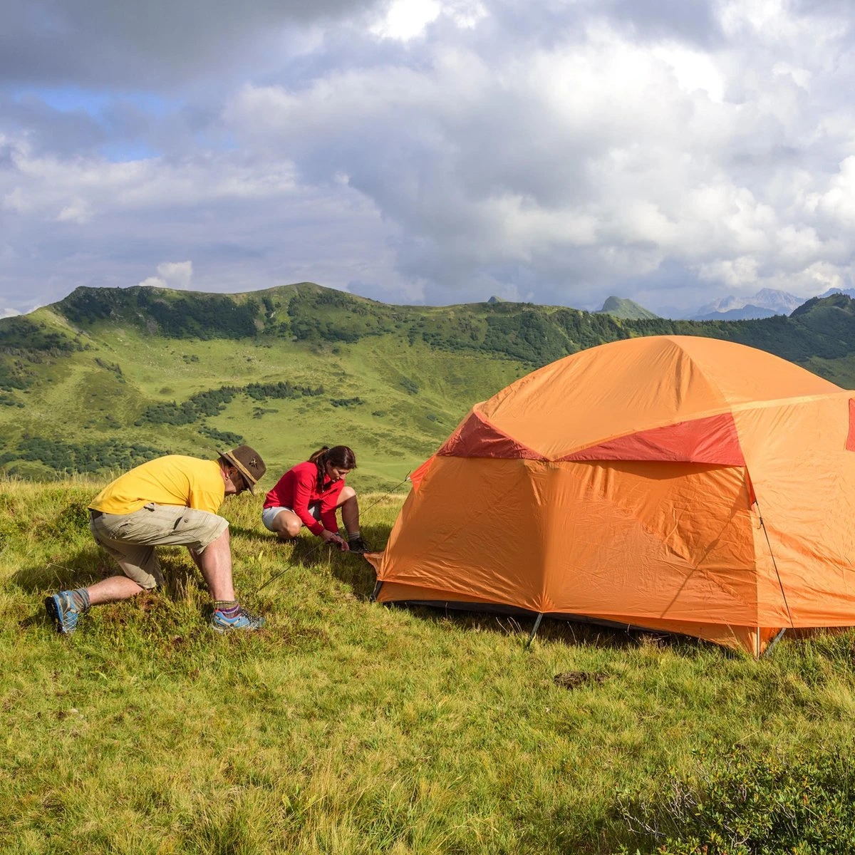 Relaxdays 100x Gronddoekpen - Grondanker - Haring - Gronddoekhaak - Grondhaken - 2mm 7 Relaxdays 100x Gronddoekpen - Grondanker - Haring - Gronddoekhaak - Grondhaken - 2mm - Afbeelding 5