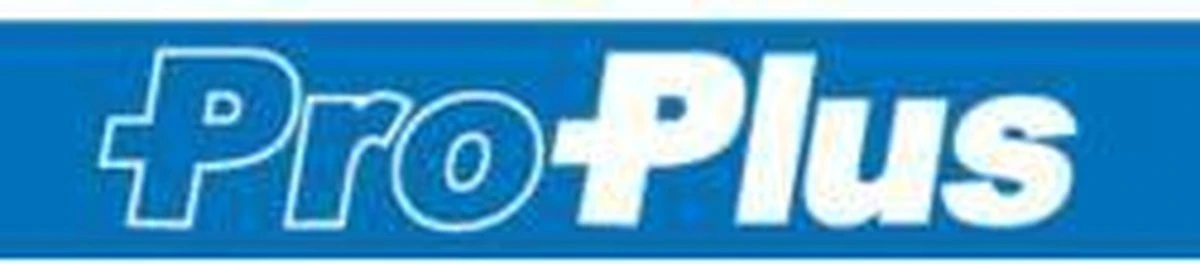 PROPLUS Pro Plus Aanlegspiraal - Hondenpen Met Handvat En Ring - Lengte 39 Cm 4 PROPLUS Pro Plus Aanlegspiraal - Hondenpen Met Handvat En Ring - Lengte 39 Cm - Afbeelding 2