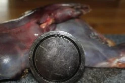 【JACHTMAGNEET / HAGELMAGNEET 】– Jacht Accessoires 2020 – Hagel Verwijderaar – Jagers Cadeau - Wild Magneet -Buiten Kamperen Apparatuur 1200x800 274