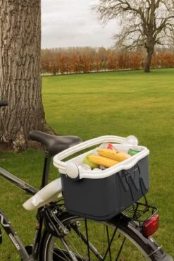 Curver Koelbox - 10L - Grijs -Buiten Kamperen Apparatuur 801x1200 5