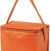 Merkloos Klein Mini Koeltasje - Sixpack Blikjes - Compacte Koelbox/koeltassen En Elementen - Oranje -Buiten Kamperen Apparatuur 873x1200 3