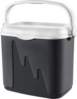 Curver Koelbox - 32L - Antraciet